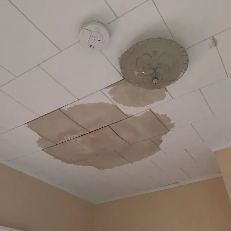 Ceiling Water Damage Repair in Williamsport, IN