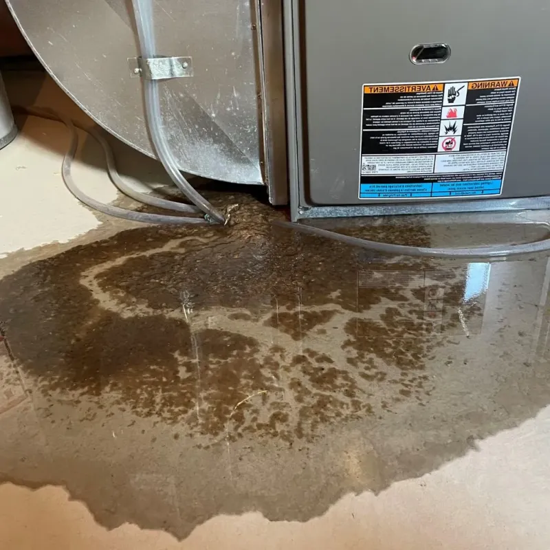 Pipe Burst and Leak Restoration in Williamsport, IN
