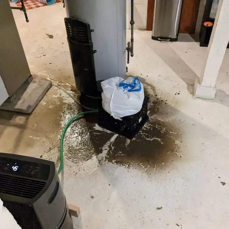 Sewage Backup Cleanup Service in Williamsport, IN